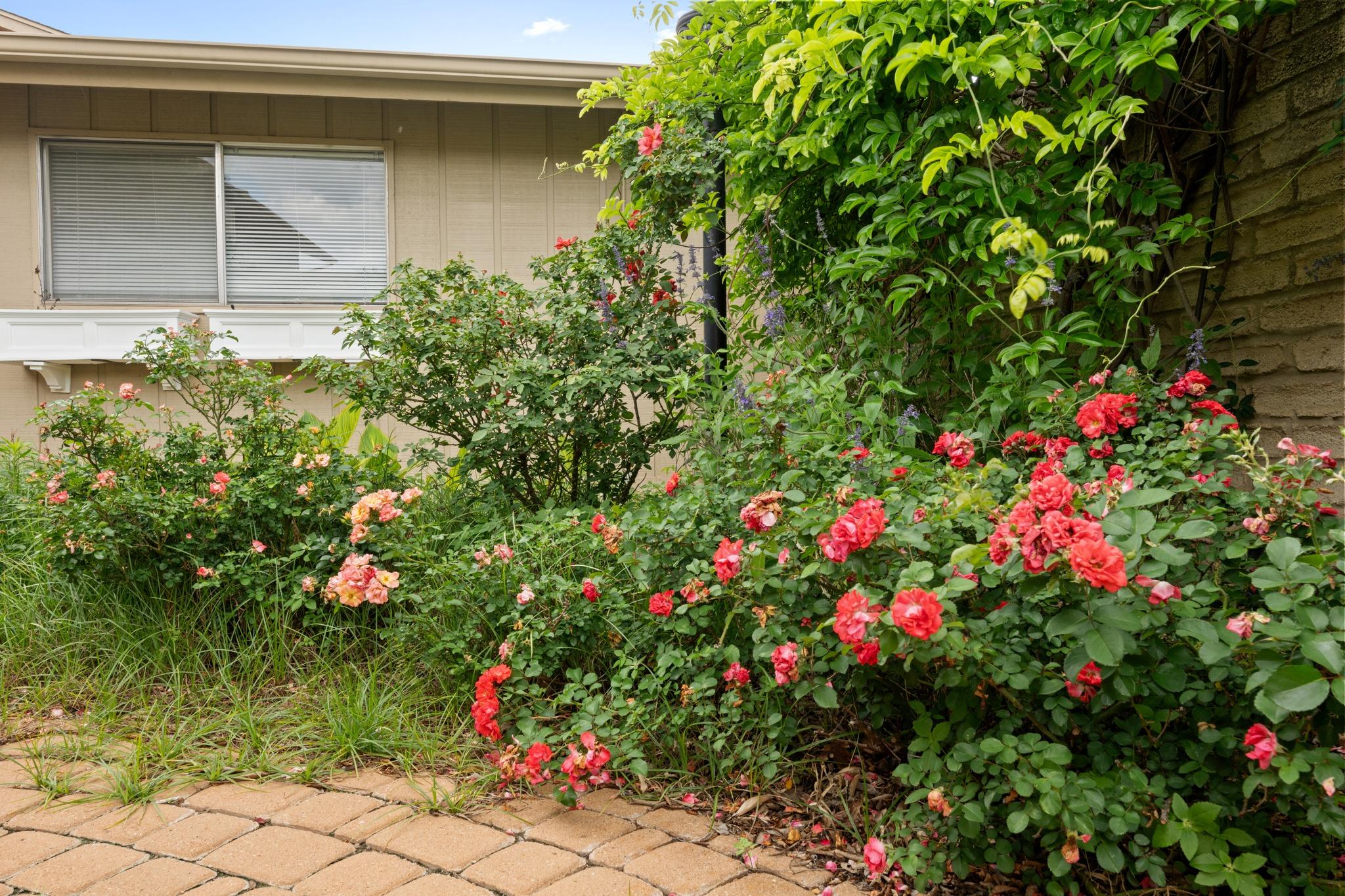 8107 Middle CT