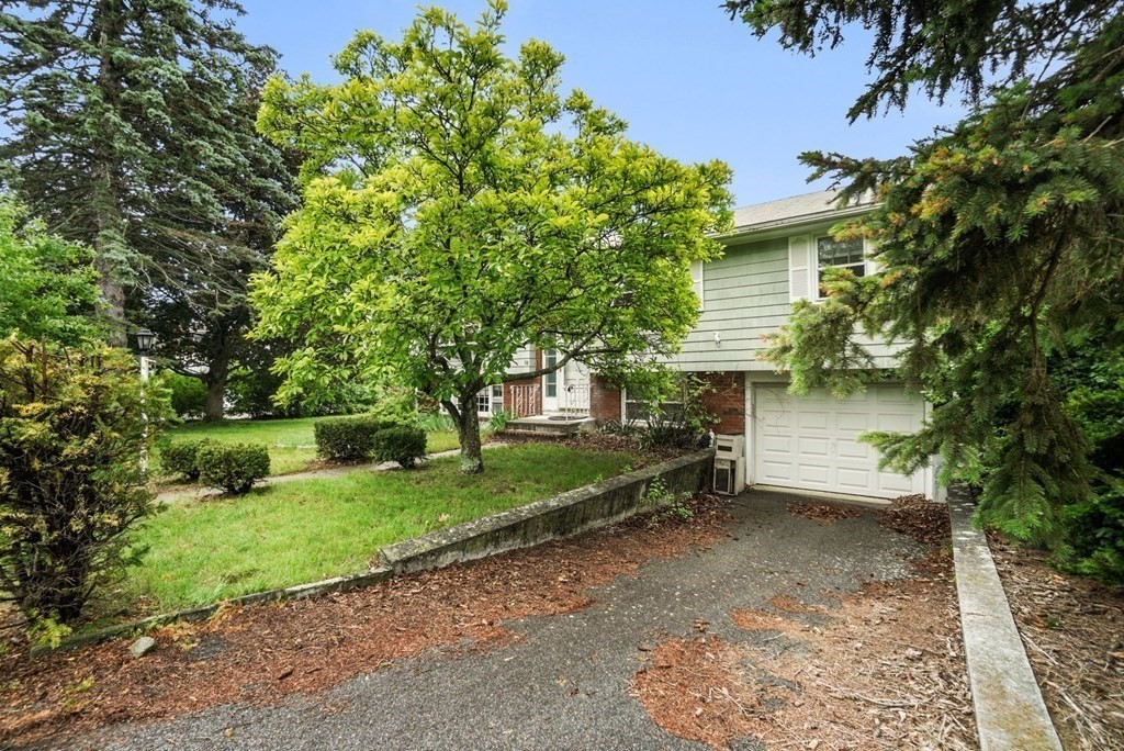 12 Randall Drive