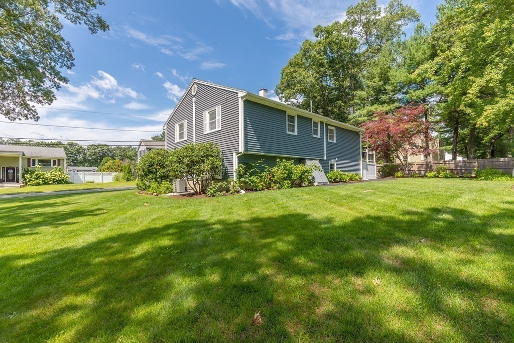 52 Dyer St