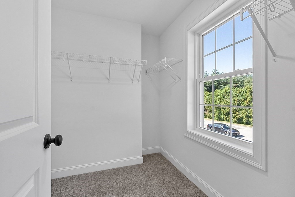 15 Will Thompson Way