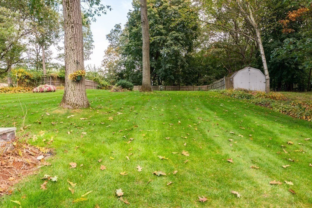 41 Walsh Avenue