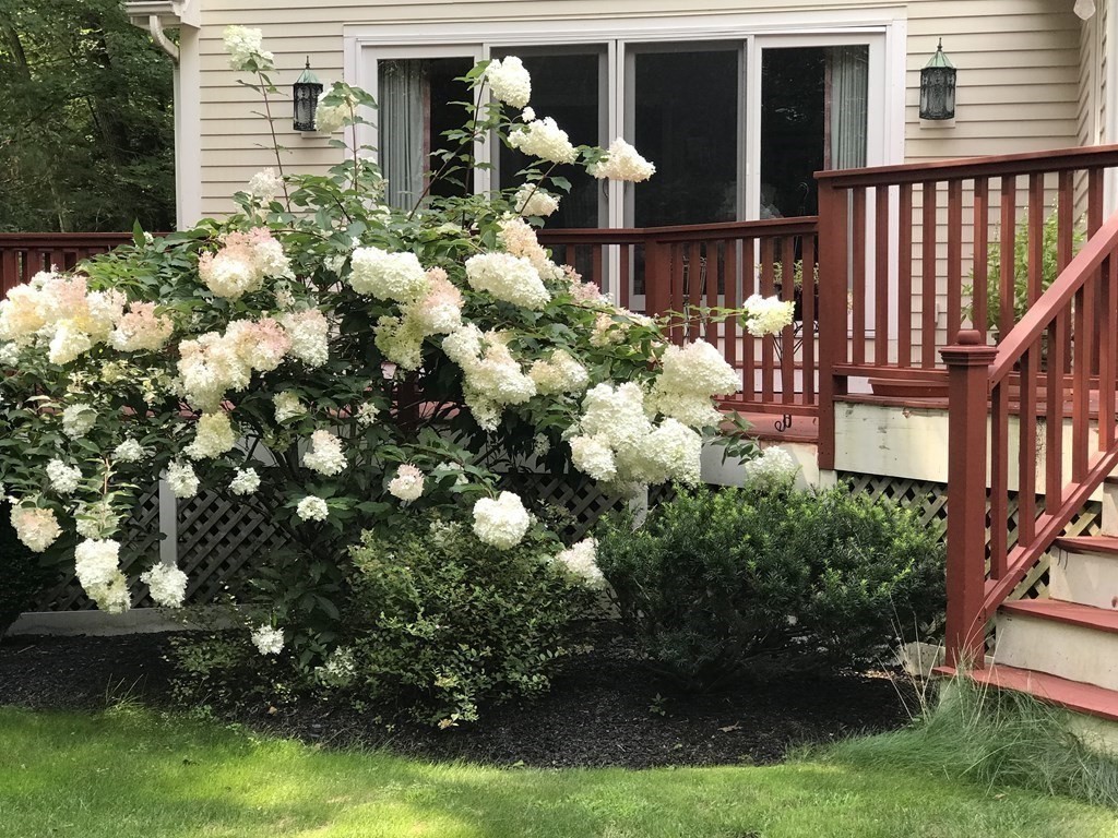 107 Hayward Road