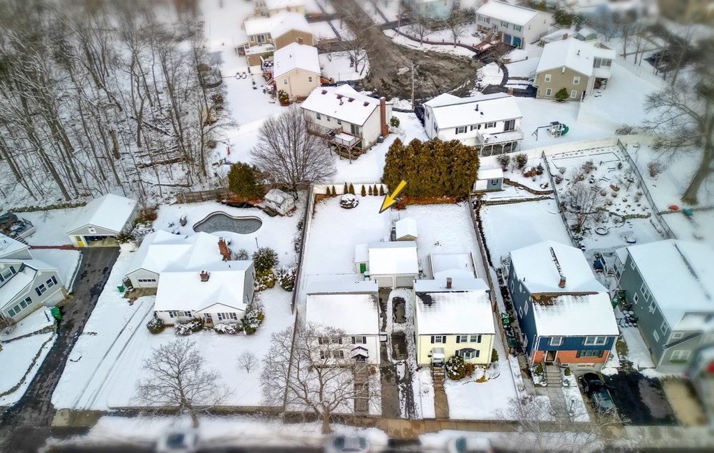 65 Brewster Rd