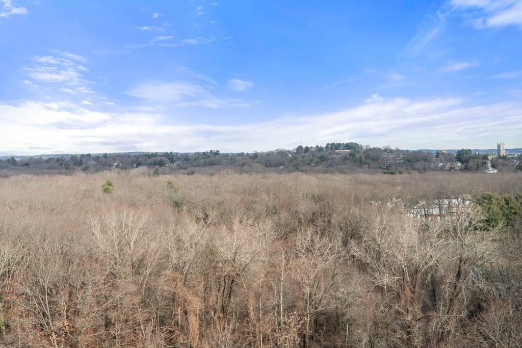 250 Hammond Pond Pkwy # 1406N
