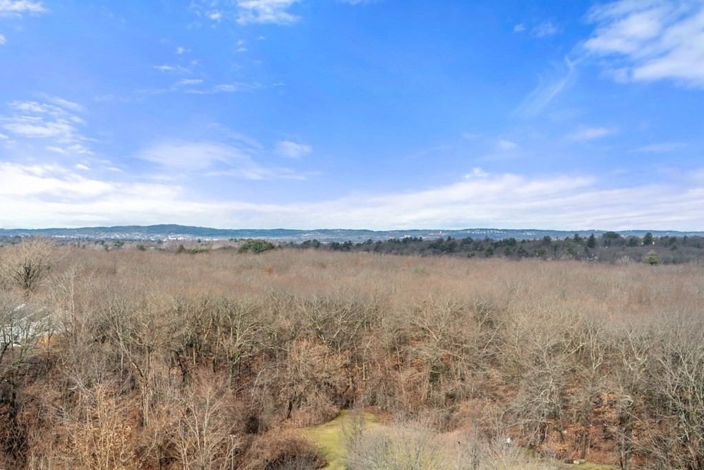 250 Hammond Pond Pkwy # 1406N