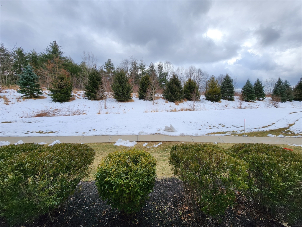 104 Deacon Shattuck Way # 104