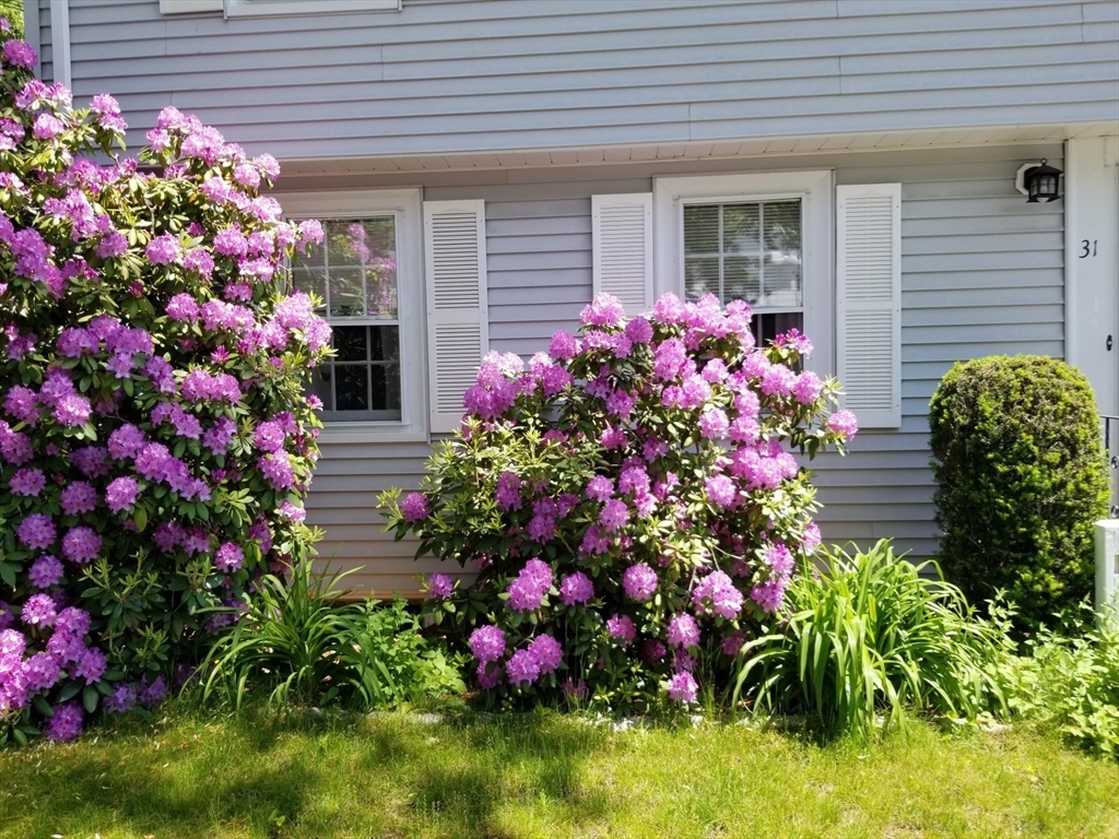 31 Sunset Road