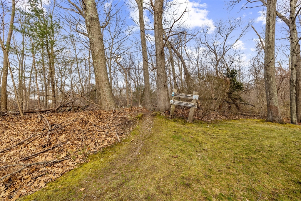 7 Rolfe Road