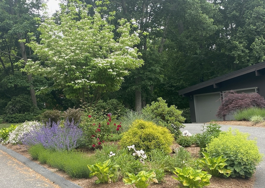 7 Rolfe Road