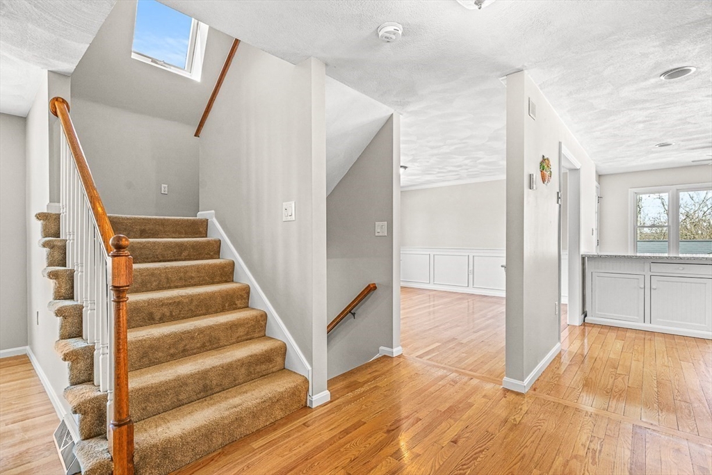 8 Waite Ave