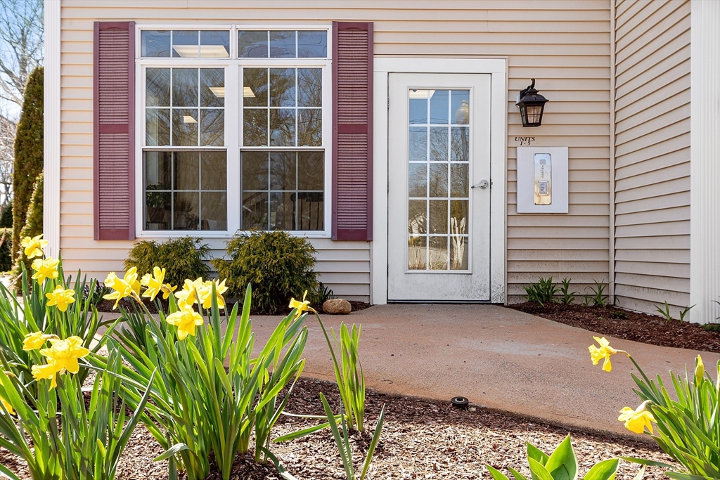 36 Middlesex Avenue # 1