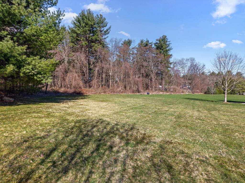 47 Magnolia Lane