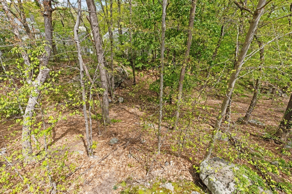 12 Fifer Lane # 12