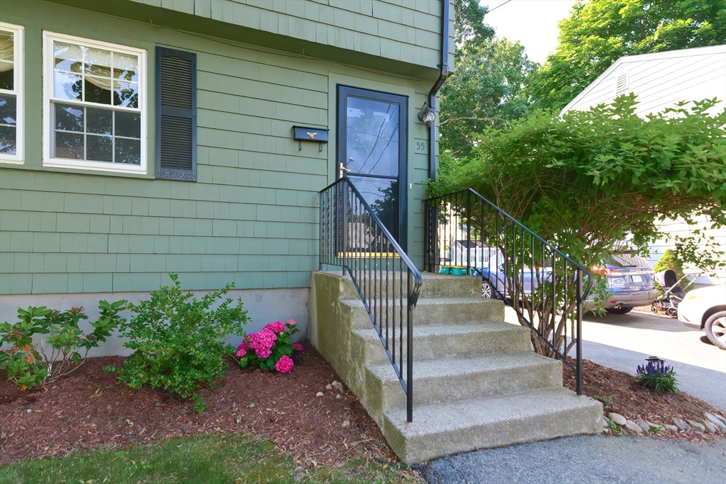 55 Winfield St