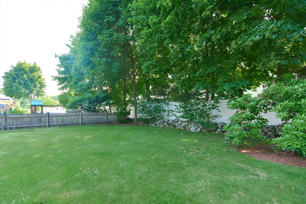 55 Winfield St