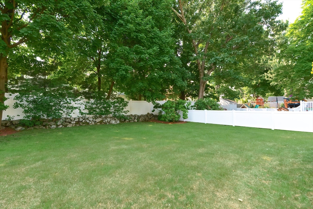 55 Winfield St