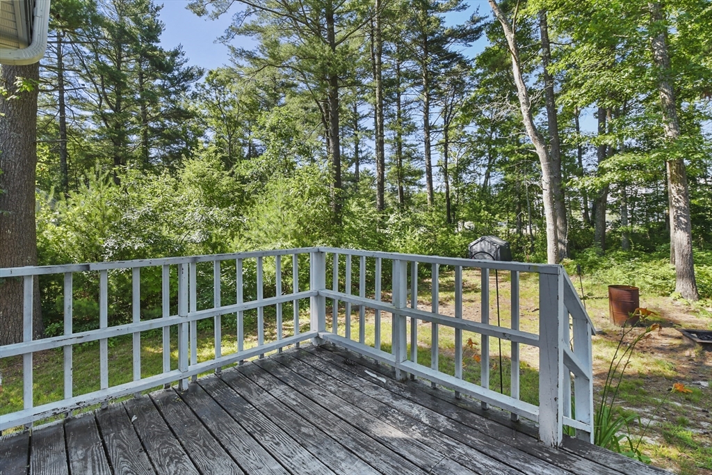 13 Littleton Dr