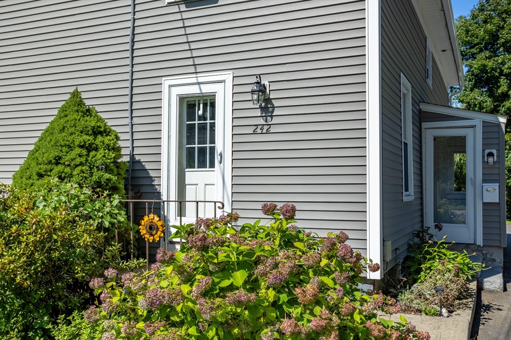 242 Central Street # 242