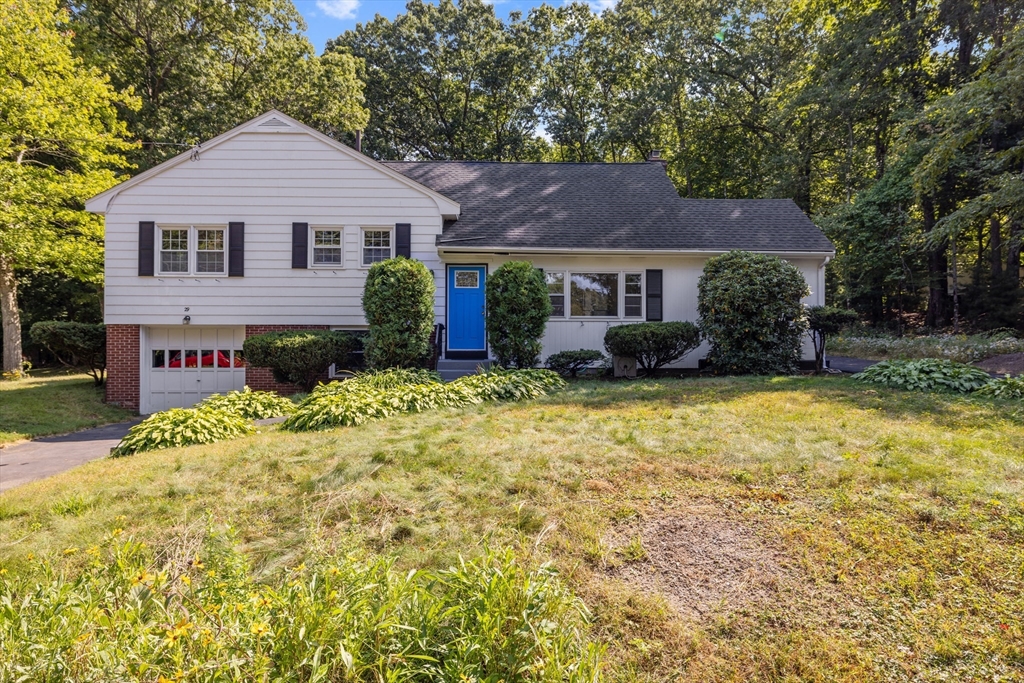 29 Montview Road