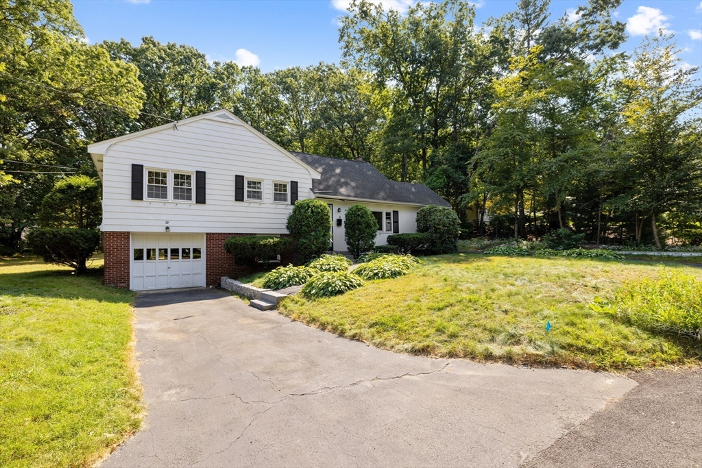 29 Montview Road