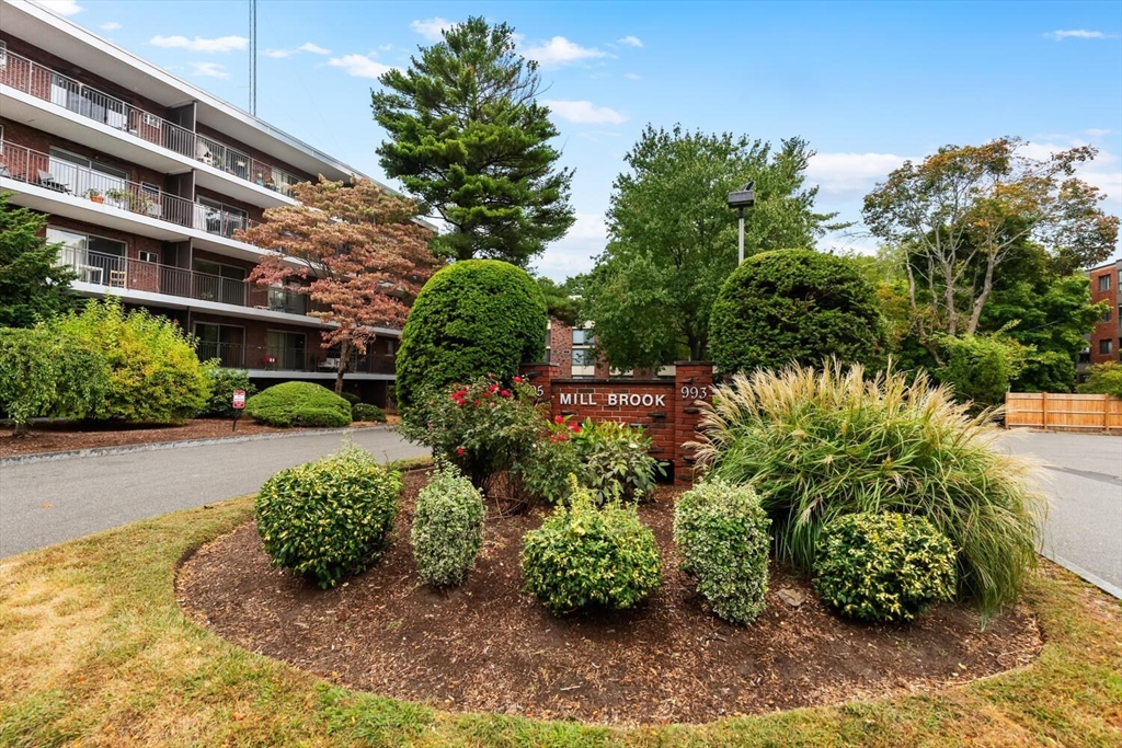 993 Massachusetts Ave # 312