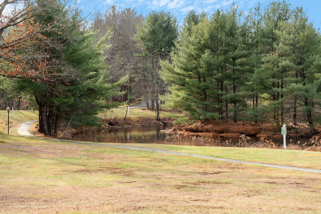7 Woodridge Lane # 7