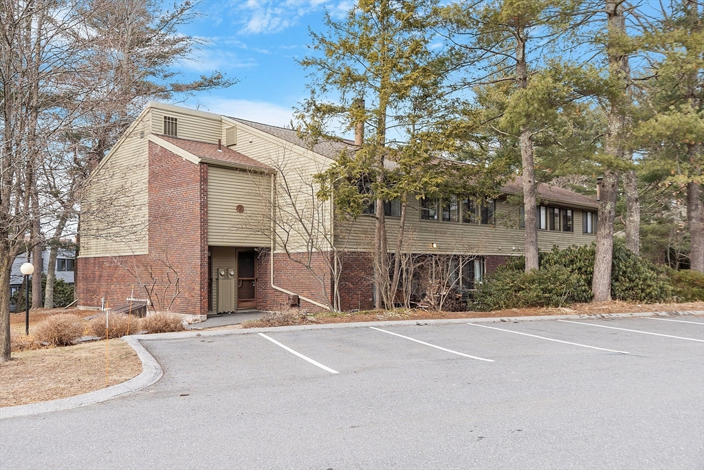 235 Brown Bear Crossing # 235