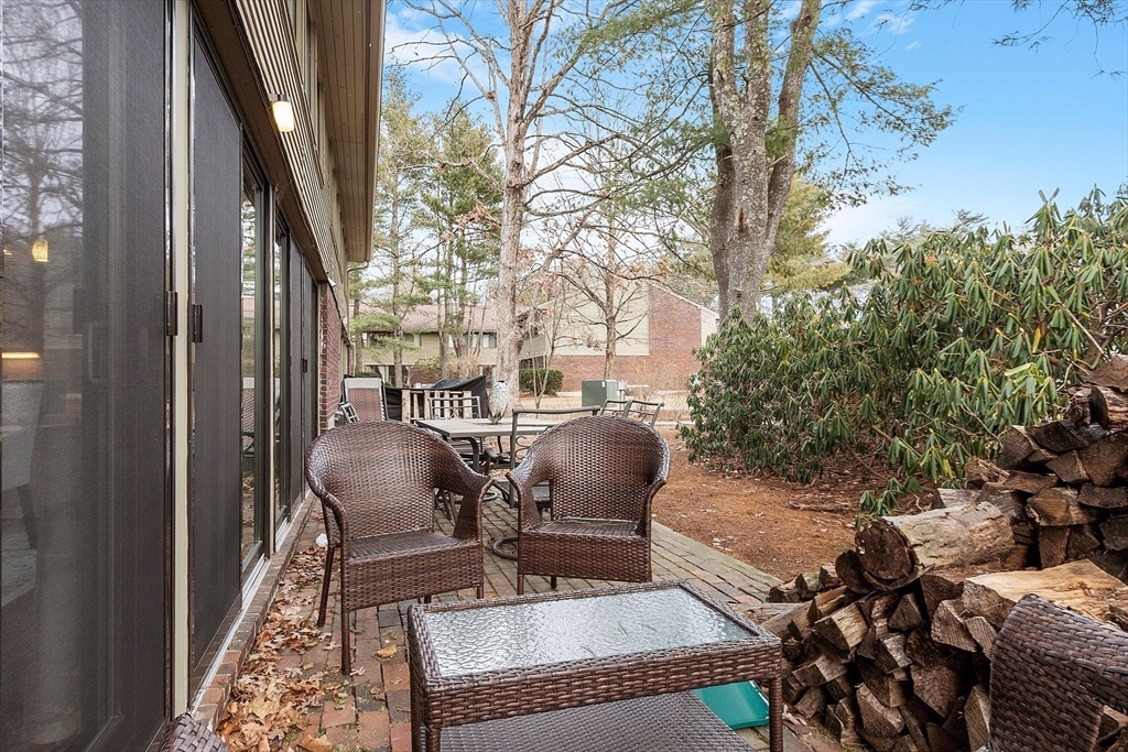235 Brown Bear Crossing # 235
