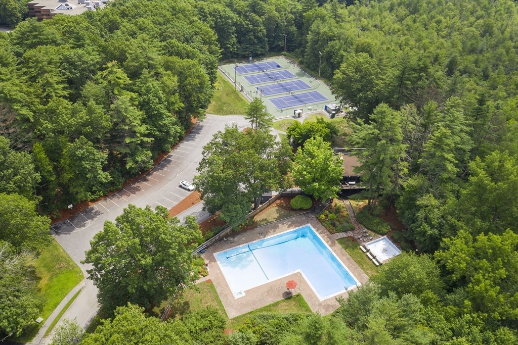 235 Brown Bear Crossing # 235
