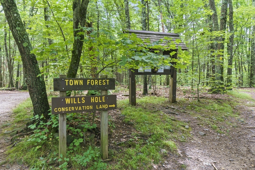 235 Brown Bear Crossing # 235