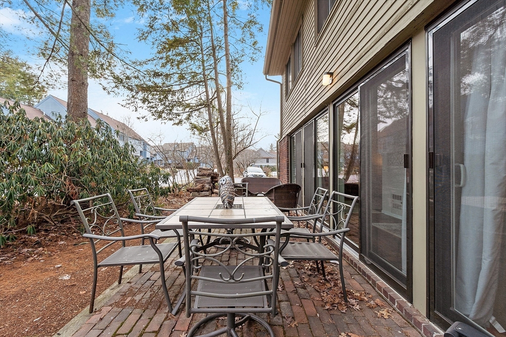 235 Brown Bear Crossing # 235