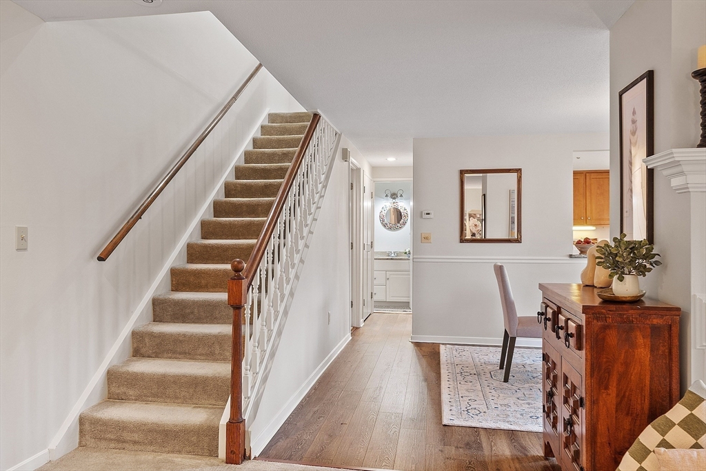 235 Brown Bear Crossing # 235