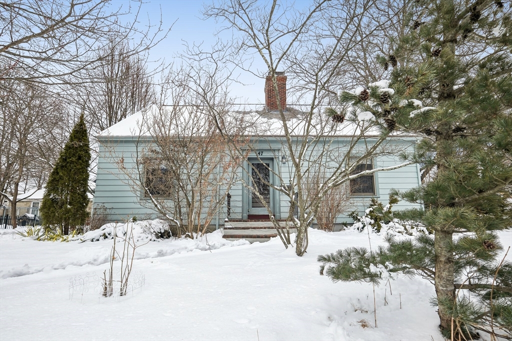 47 Florence St