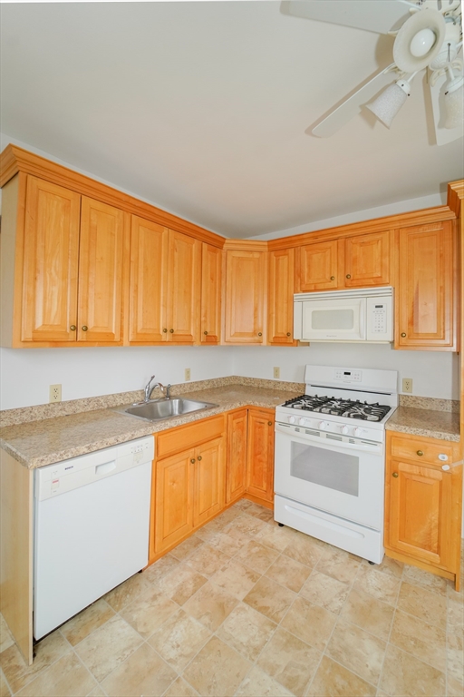 73 Edwards St # 75