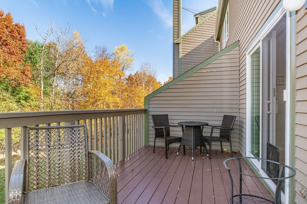 1003 Lewis O Gray Dr # 1003