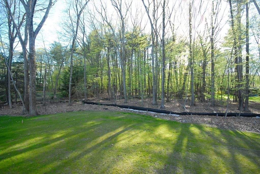 247 Pope Road