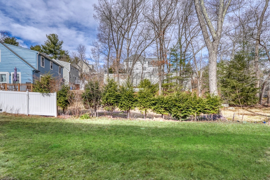 65 Montrose Avenue