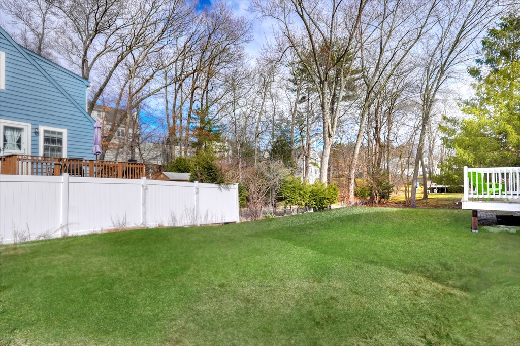 65 Montrose Avenue