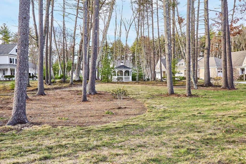 29 Black Birch Lane # 29