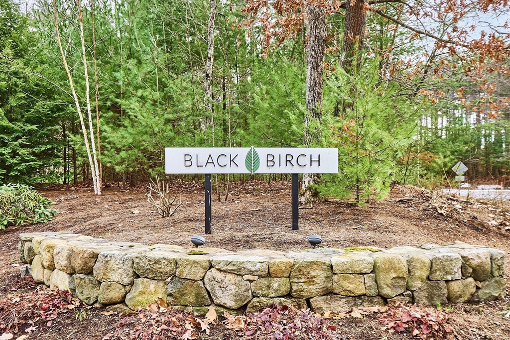 29 Black Birch Lane # 29