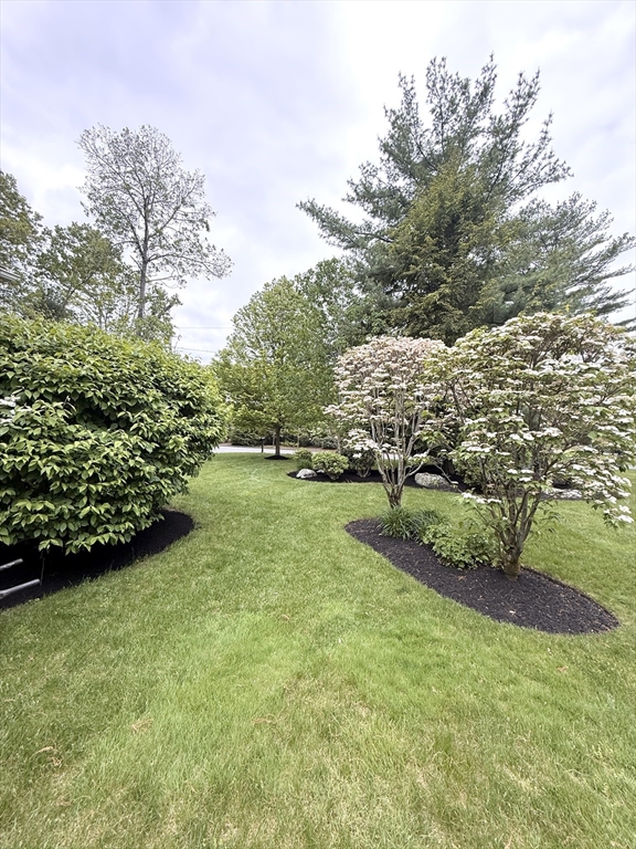 111 Laconia St