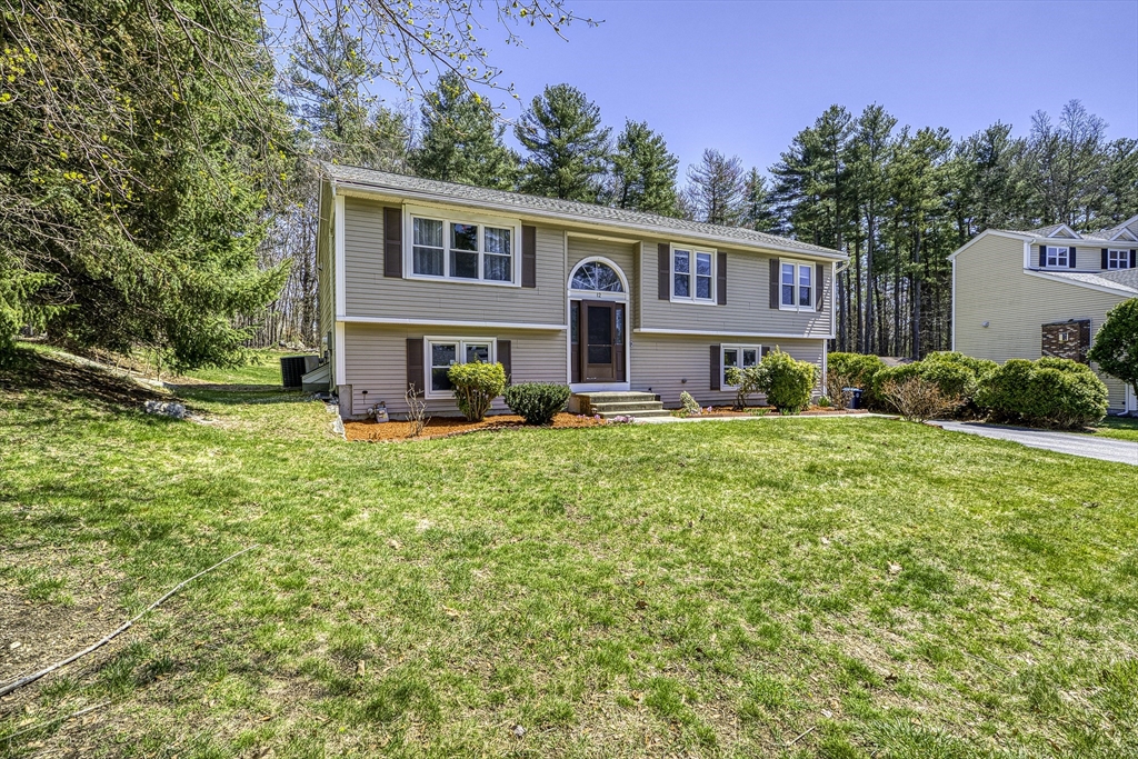 12 Sycamore Rd