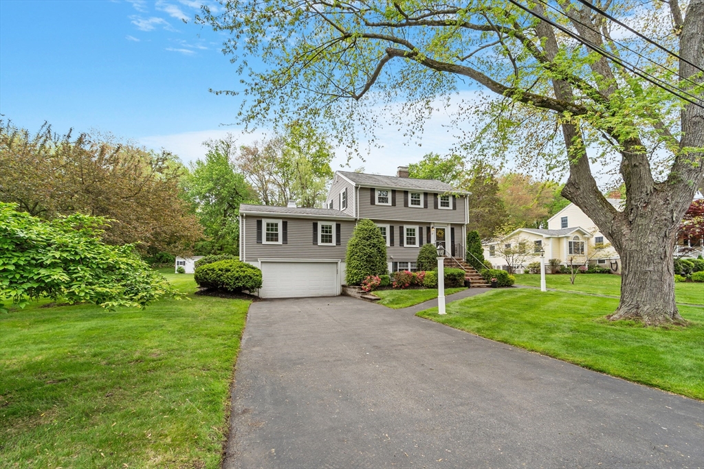 17 Phyllis Ave