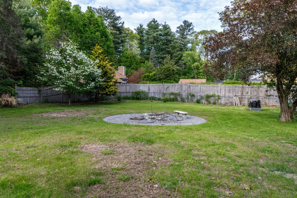 285 Willard Street