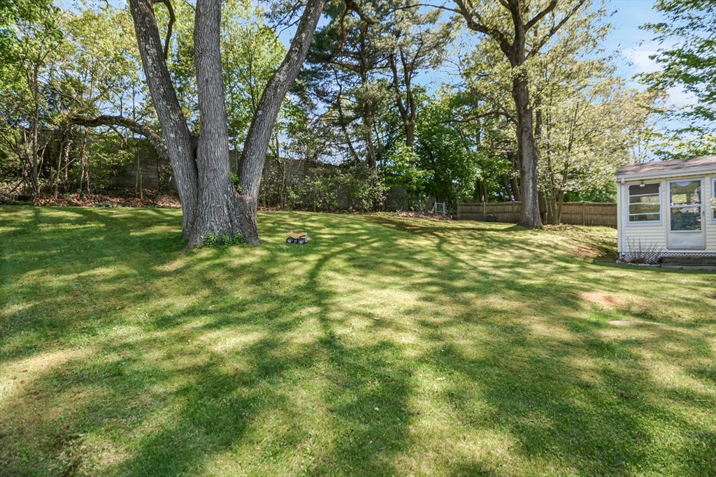 8 Hammond Rd