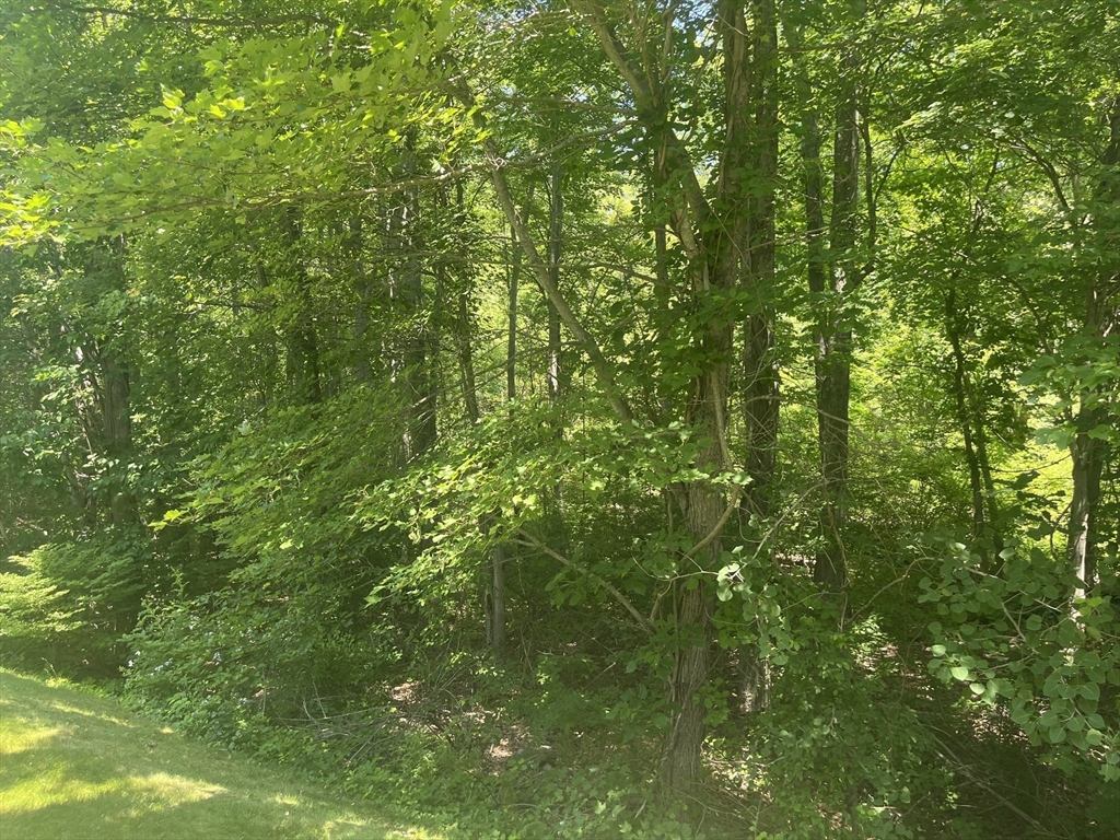 38 Karopulios Dr # 38
