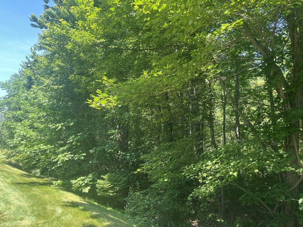 38 Karopulios Dr # 38