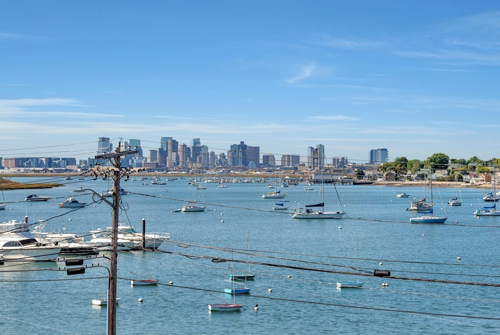 600 Shirley Street # 3