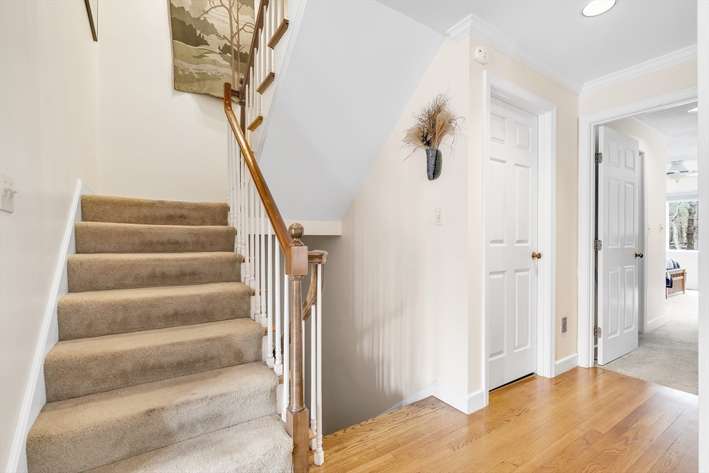 5 Thornton Lane # 5