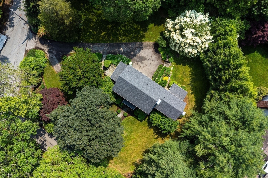 217 Conant Rd
